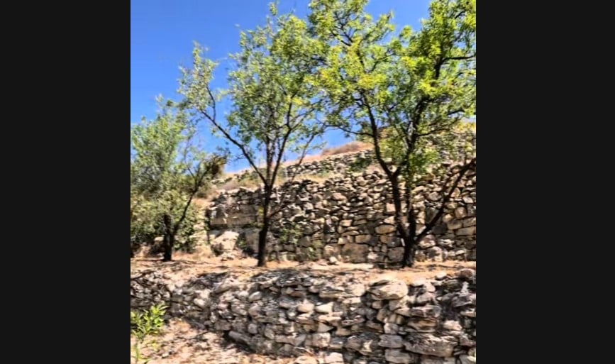 domes kipros lemesos