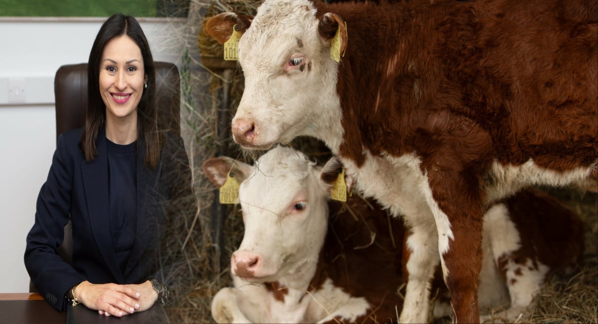 georgias-aggelades.jpg