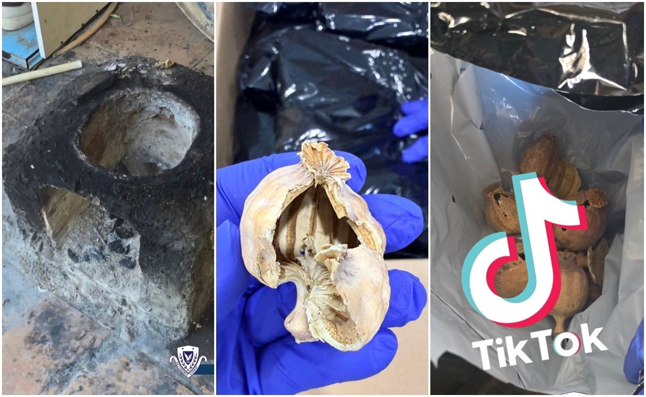 Πουλούσαν μέσω TikTok ναρκωτικά – παπαρούνα για 25 ευρώ το γραμμάριο. Μπαράζ επιχειρήσεων