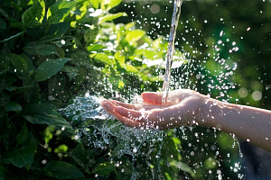 ΚΥΠΡΟΣ / Καταγγελία: Υγρά απόβλητα από εργοστάσιο χύνονται στους αγρούς