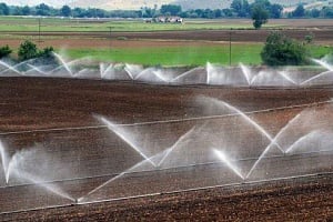 Ετήσια μείωση των τιμών ενδιάμεσης ανάλυσης και επενδύσεων στην Γεωργία