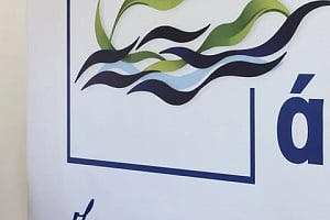 Με δικηγόρο τον Αχιλλέα Αιμιλιανίδη καταθέτει την Παρασκευή ο Οδυσσέας
