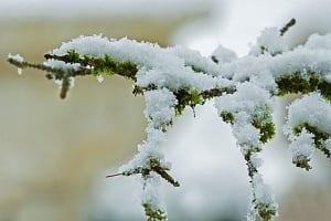 «BYRON»: Έρχονται τα πρώτα χιόνια στο Τρόοδος – Αύξηση στα φράγματα