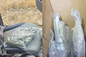 ΦΩΤΟ: «Τσάκωσαν» 63χρονο με δύο κιλά κάνναβης κρυμμένα σε κλουβί σκύλου, 339 φυσίγγια και δύο κινητά