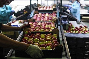 Ετήσια αύξηση 5,7% στον κύκλο εργασιών του ευρύτερου εμπορικού τομέα το 2023