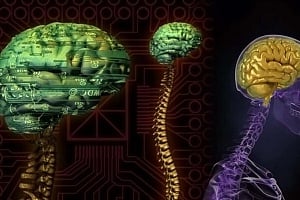 Νέα έρευνα: Μοντέλα ΑΙ που μιμούνται τον εγκέφαλο μαθαίνουν πριν καν εκπαιδευτούν