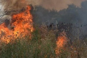 Ανησυχούν για πυρκαγιές οι Κύπριοι, ενημερώνονται από τα μέσα κοινωνικής δικτύωσης