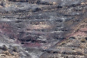 Kαταλυτική η συνεισφορά των C-130 στις προσπάθειες κατάσβεσης στη Λεμεσό, λέει η Πρεσβεία του Ισραήλ