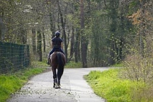 Έρχονται πρόστιμα για όσους τρέχουν με... άλογο, τινάζουν χαλιά ή ο σκύλος τους γαυγίζει υπερβολικά-Δείτε τη λίστα με τα εξώδικα