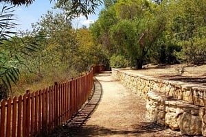 Πάρκο Αθαλάσσας: Ο Πράσινος πνεύμονας της Λευκωσίας
