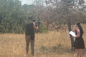 SOS για το Δάσος Αθαλάσσας: Δεκάδες δέντρα «λυγίζουν» από τη ξηρασία, τα έντομα και τις ασθένειες