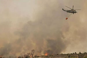 Όσα έζησε πυρόπληκτός: Σώθηκαν τα σκυλιά μας.. ήταν σαν όαση