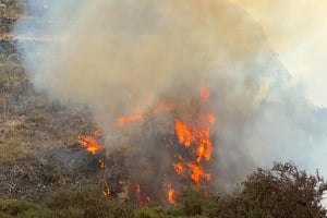 Ολονύχτια μάχη με τις φλόγες στην Πάφο: «Η κατάσταση είναι σαφώς καλύτερη»