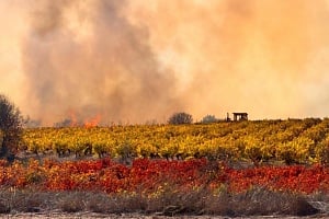 Ολονύχτια μάχη με τις φλόγες στο Στρουμπί– Νέες ρίψεις από αέρος νωρίς το πρωί