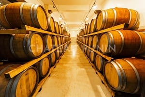 CHATEAU PUNIN: Κυπριακό κάστρο, μεταμορφώνεται στο πρώτο Château οινοποιείο στην Κύπρο