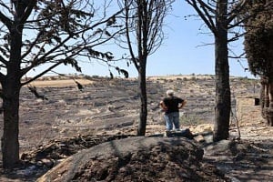 ΠτΔ: Απολογήθηκε και εξήγγειλε δώδεκα άμεσες ενέργειες Κυβέρνησης για στήριξη πληγέντων