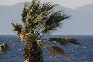 Σφοδροί άνεμοι μέχρι 7 μποφόρ πλήττουν την Κύπρο-Κίτρινη προειδοποίηση από την Μετεωρολογική