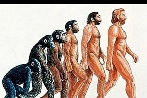 Ανακαλύφθηκε στην Αιθιοπία άγνωστος συγγενής των ανθρώπων