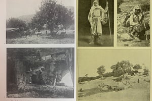 Αφθώδης πυρετός: Όταν η ιστορία της Κύπρου κινδυνεύει να χαθεί μαζί με κοπάδια