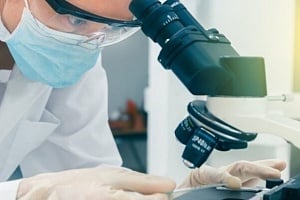 Τοξικός μύκητας της κατάρας των Φαραώ μετατρέπεται σε φάρμακο κατά της λευχαιμίας