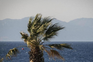 Μετεωρολογικός λειτουργός: Αναμένονται αρκετά ισχυροί άνεμοι αύριο το μεσημέρι σε πολλές περιοχές της Κύπρου
