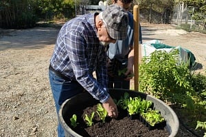 ΒΙΝΤΕΟ: Συνταξιούχοι συναντούν τη φύση, καλλιεργούν και προσφέρουν τα προϊόντα τους