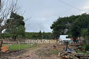 Η οικογένεια είχε βρει αδέσποτο το πίτμπουλ και το φιλοξενούσε μέχρι να δοθεί για υιοθεσία Πώς γράφτηκε η τραγωδία με τον 2χρονο