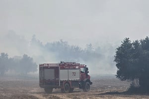 Αιωνόβιες ελιές χάθηκαν από τη μεγάλη φωτιά στ&alp