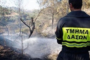 Έριξαν κάρβουνα στην όχθη ποταμού και προκάλεσαν φωτιά στις Πλάτρες