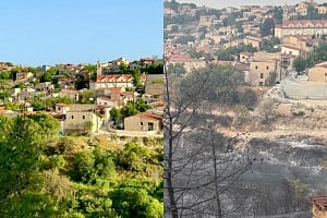 «Πράσινοι πνεύμονες» έγιναν στάχτη – Συγκριτικές εικόνες πριν και μετά τη φωτιά στη Λόφου συγκλονίζουν