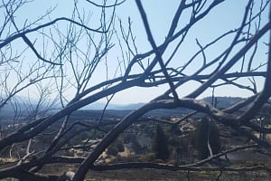 To 1,3% του νησιού έχει κάψει η καταστροφική πυρκαγιά, σύμφωνα με τον «Ερατοσθένη»