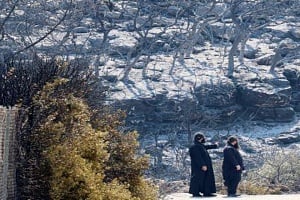 Αρχίζει άμεσα καταγραφή ζημιών σε καλλιέργειες 28 κοινοτήτων Λεμεσού, λέει το Τμήμα Γεωργίας