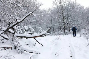 Έρχεται ψυχρό μέτωπο: Κατακόρυφη πτώση θερμοκρασίας, πρώτα χιόνια και θυελλώδεις άνεμοι Αναλυτικά η πρόγνωση