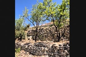 domes kipros lemesos