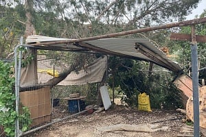 Ανεμοστρόβιλος «κτύπησε» περιοχές της επαρχίας Πάφου Έπεσε δέντρο, ζημιές σε υποστατικό (ΕΙΚΟΝΕΣ)