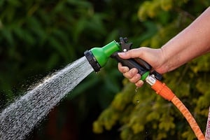 garden-hose-6302165_1280.jpg