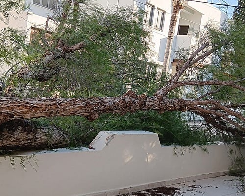 Έτρεχε χθες η Πυροσβεστική λόγω σφοδρών ανέμων-Πτώσεις δέντρων και στεγάστρων