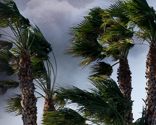 Καιρός: Έρχονται καταιγίδες, σφοδροί άνεμοι και χιόνια - Αναλυτικά η πρόγνωση