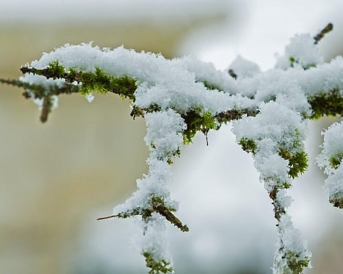 «BYRON»: Έρχονται τα πρώτα χιόνια στο Τρόοδος – Αύξηση στα φράγματα
