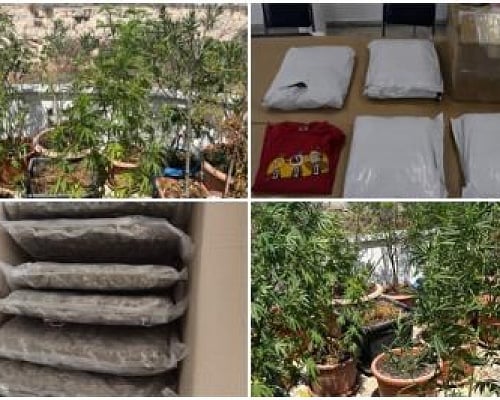 Μετέτρεψαν την ταράτσα του σπιτιού τους σε φυτώριο ναρκωτικών 68χρονος και 78χρονη (pics)