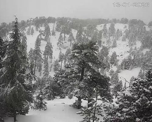 Μαγευτικές εικόνες από το κατάλευκο Τρόοδος (ΒΙΝΤΕΟ)