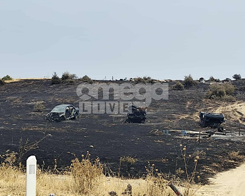 Φονική πυρκαγιά / Γίνεται καταμέτρηση των νεκρών ζώων Υπήρχαν πολλές χιλιάδες στη περιοχή