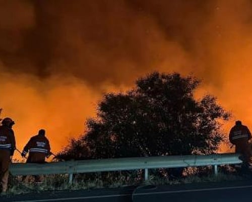 Στα χέρια του Προέδρου οι εκθέσεις για τη φονική πυρκαγιά-«Θα δημοσιευτούν το συντομότερο δυνατό»
