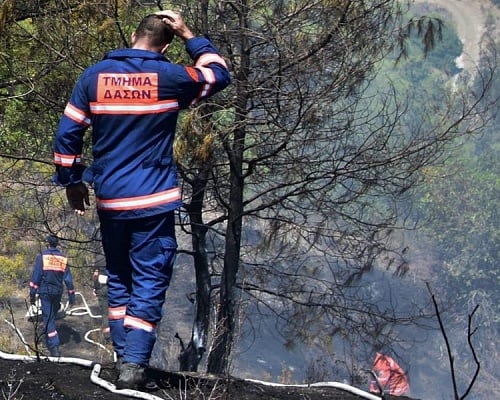 Τμήμα Δασών: Υπό πλήρη έλεγχο δασική πυρκαγιά στην περιοχή Τροόδους