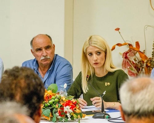 Κατέγραψε προς προώθηση ζητήματα πυρόπληκτων Λεμεσού η Πρόεδρος του ΔΗΣΥ