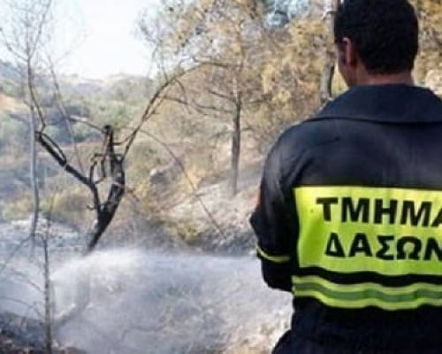 Ξέσπασε φωτιά στην επαρχία Λεμεσού Στη μάχη κατάσβεσης και πτητικά μέσα (ΕΙΚΟΝΑ)