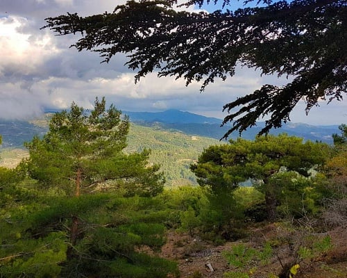 Σύλληψη 32χρονου για την πυρκαγιά στο Εθνικό Πάρκο Τροόδους