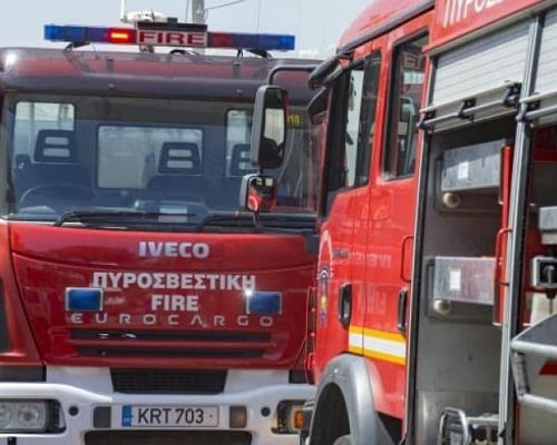 Φωτιά σε υποστατικό με οικόσιτα ζώα στην Ευρύχου