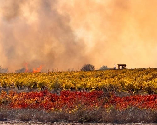 Ολονύχτια μάχη με τις φλόγες στο Στρουμπί– Νέες ρίψεις από αέρος νωρίς το πρωί