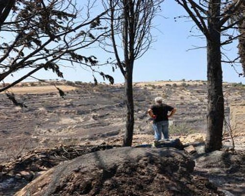 Στη δημοσιότητα δίνει ο ΠτΔ τις εκθέσεις για την φονική Πυρκαγιά